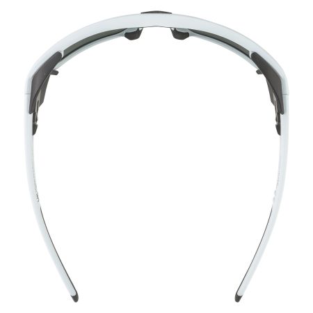 Купить Очки Alpina Skywalsh Q Smoke-Grey Matt/Green Mirror Cat.4 Fogstop в Краснодаре