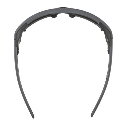 Купить Очки Alpina Skywalsh Q Midnight-Grey Matt/Blue Mirror Cat.4 Fogstop в Краснодаре