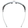 Купить Очки Alpina Skywalsh Q Smoke-Grey Matt/Green Mirror Cat.4 Fogstop в Краснодаре